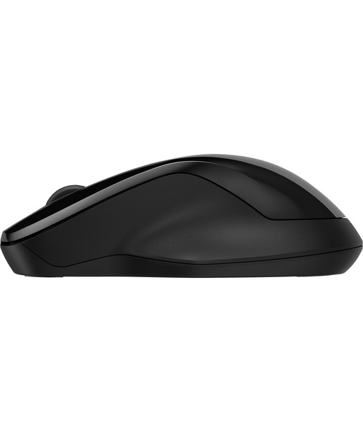 HP 6V2J7AA 250 Çift Modlu Fare Siyah