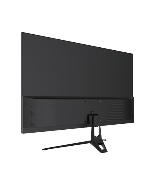Dexim DMT008 24,5" 100Hz 0.5ms FHD HDMI VGA HDR Low Blue Light FreeSync Fast IPS Monitör