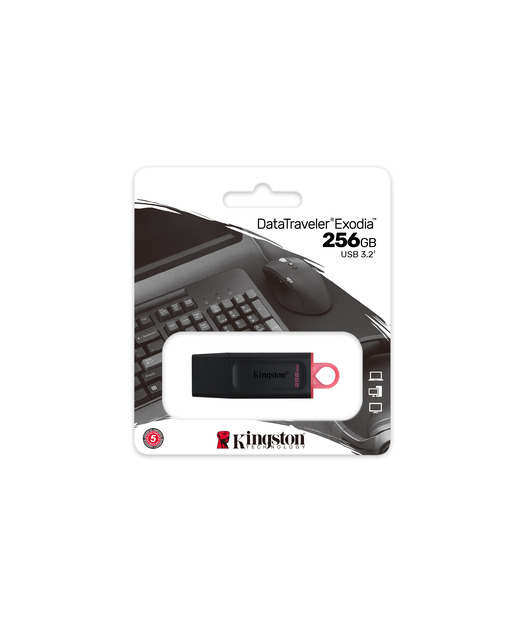 Kingston 256GB USB3.2 Gen1 DataTraveler Exodia (Black + Pink)