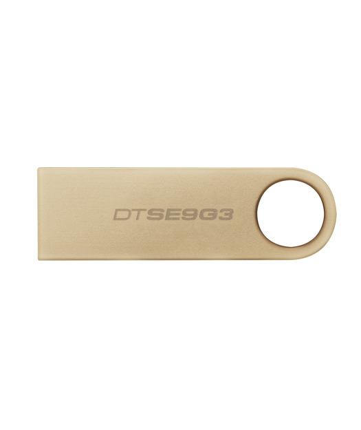 Kingston 256GB 220MB/s Metal USB 3.2 Gen 1 DataTraveler SE9 G3